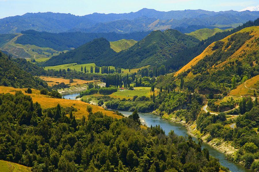 The Whangnui River in New Zealand