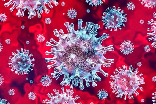 The 2020 Global Coronavirus Outbreak