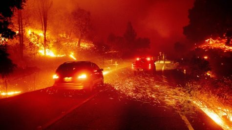 The Kincade Wildfires Impact